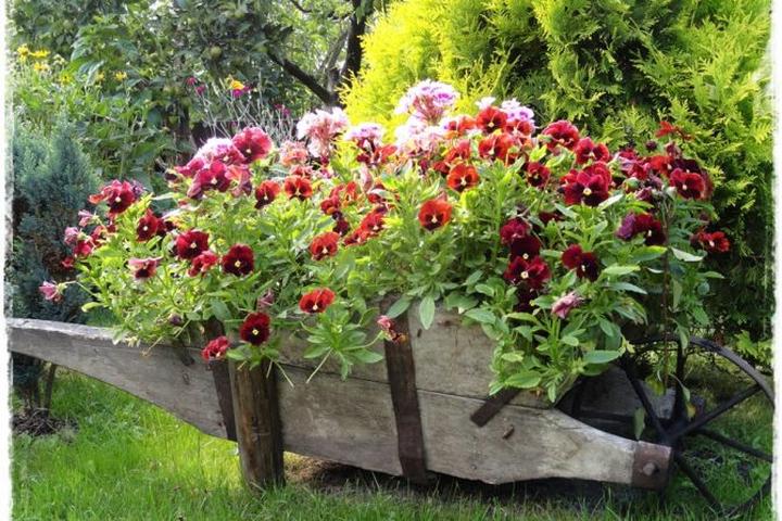 Najtańsze podróże nad morze z Polskim Busem: jak połączyć autokar z biletami promowymi?