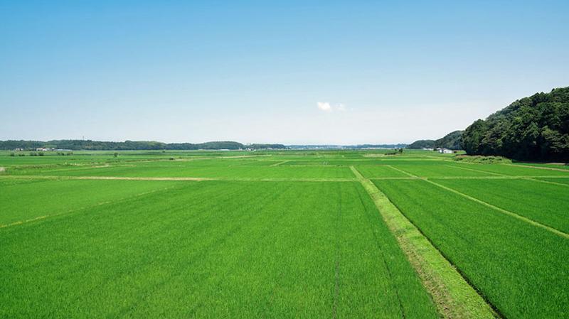 Przewodnik dla kupujących: Jak nabyć działkę rolniczą, nie będąc rolnikiem?