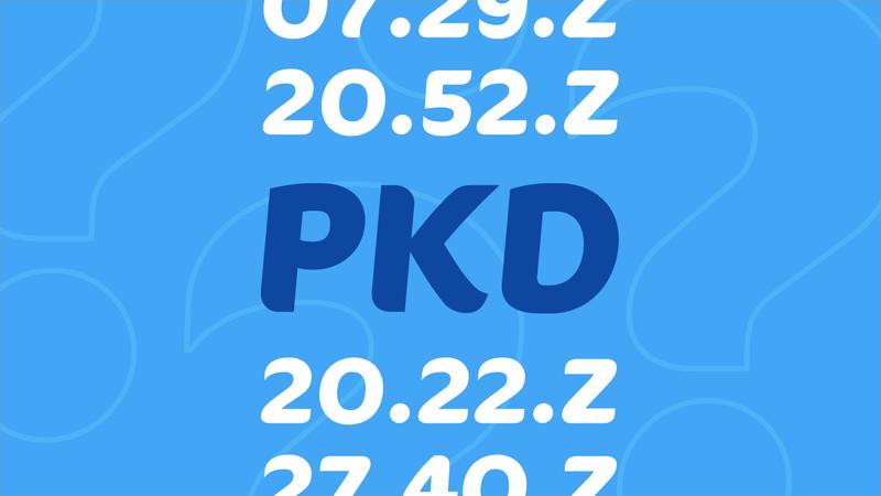 Odnalezienie kodu PKD