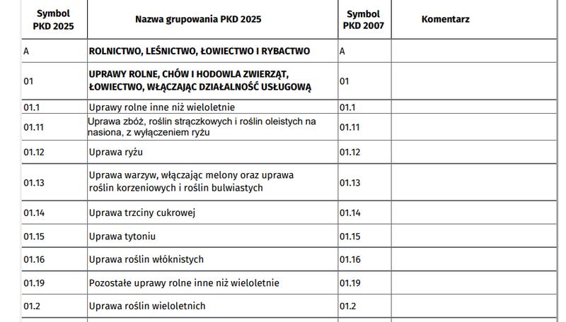 Strategia marketingowa PKD