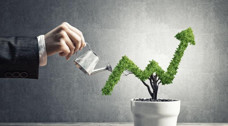 Fundusze inwestycyjne – podstawy, rodzaje i korzyści, które warto znać